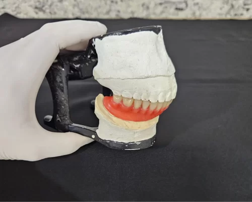 imagem_do_whatsapp_de_2025_05_01_s_14_39_18_c9d04a4d